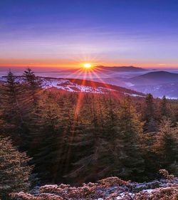 Scenic view of landscape during sunset