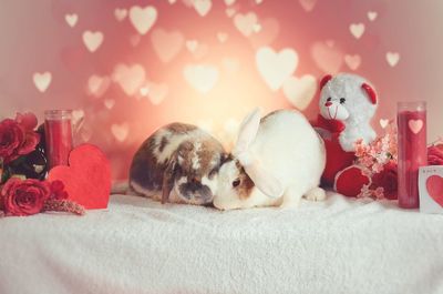 Dog relaxing on bed at home