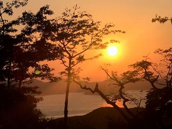 Silhouette tree against orange sky