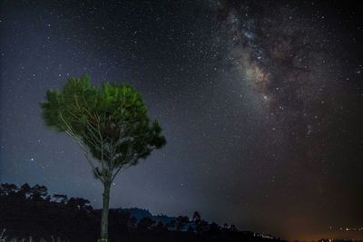 Low angle view of star field against star field