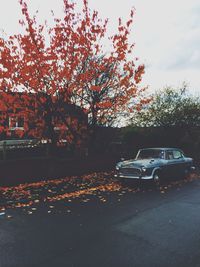 Cars on road in city