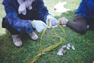 Ingredients for miyako johu made using traditional methods fiber is taken from ramie, a plant 