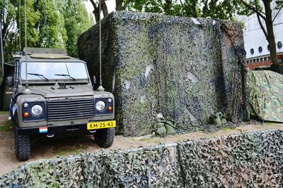 Vintage car on tree