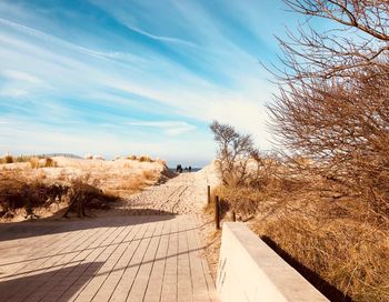 Footpath amidst trees against sky