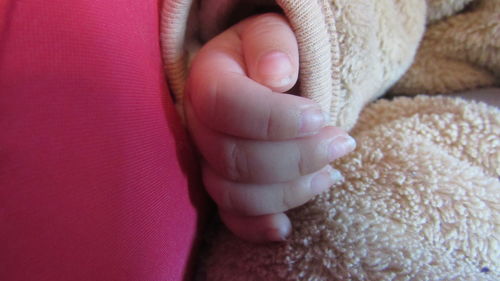 Close-up of baby hand