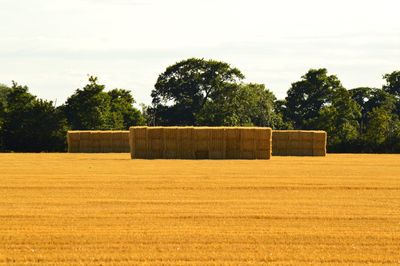 Hay stacks on field against sky during sunny day
