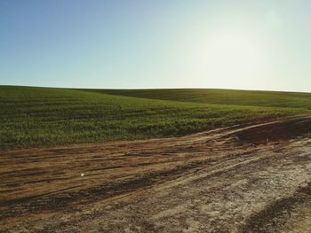 Scenic view of agricultural field against clear sky