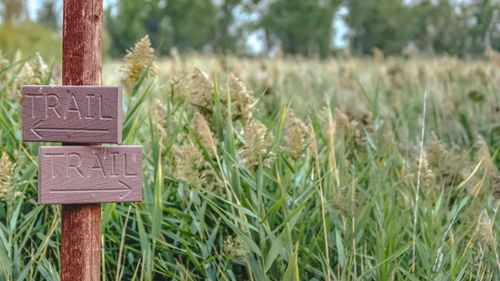 Close-up of wooden post on field