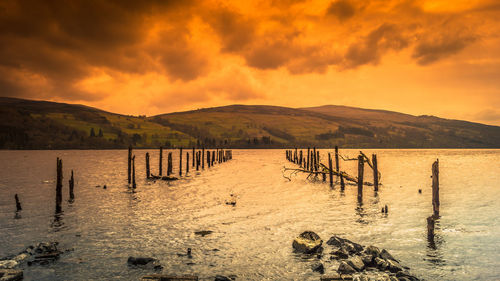 Wooden posts in a lake