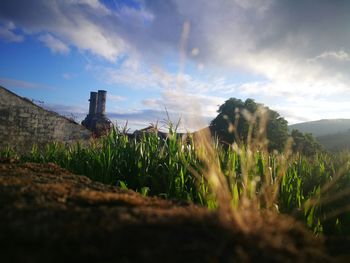 Surface level of land against sky