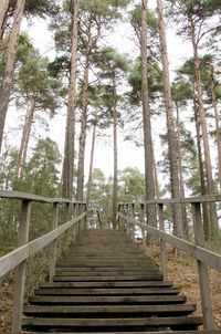 Footbridge in park