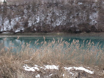 Scenic view of lake