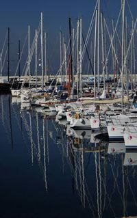 Boats in harbor