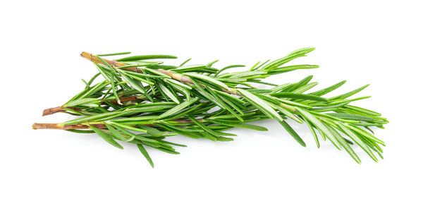 Close-up of fresh green leaves against white background