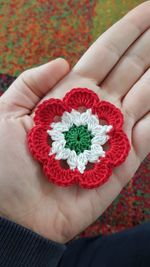 Close-up of hand holding red flower