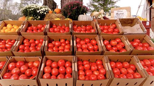 Close-up of fruits for sale in market