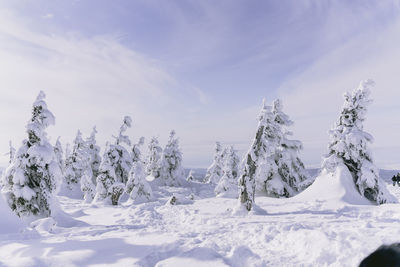 Scenic view of snow covered land against sky