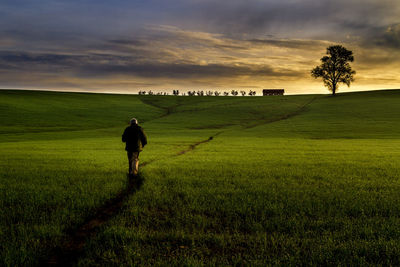 Rear view of man on land against sky during sunset