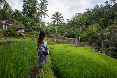 Rear view of woman standing on rice terrace against trees