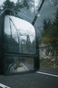 Reflection of trees on side-view mirror