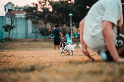 Rear view of man with dog