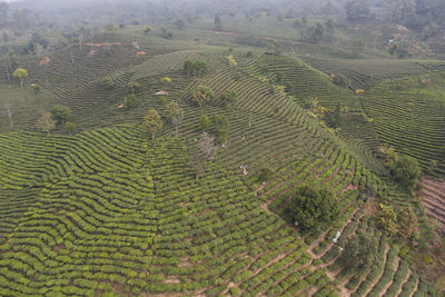 Aerial view of the remote nuogang dai village in lancang, yunnan - china