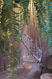 Close-up of plants against trees