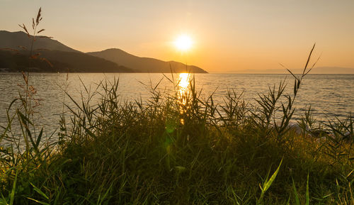 Scenic view of sea against sky during sunset