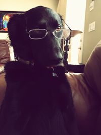 Portrait of young woman