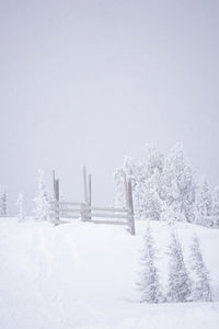 snow