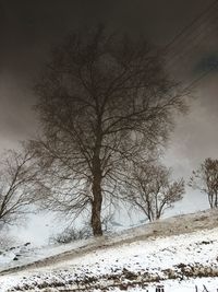 Bare tree on snow covered field against sky