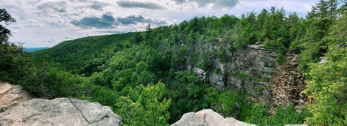 Panoramic view of trees and rocks against sky