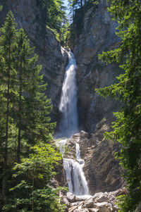 Scenic view of waterfall in forest