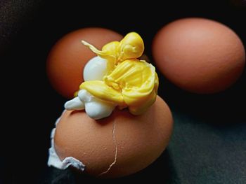 egg