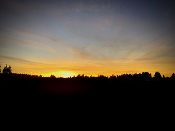 Silhouette of trees at sunset