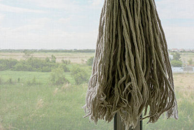 Rear view of woman standing by window in field
