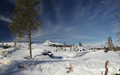 Scenic view of snow covered field against sky
