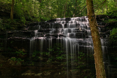 Waterfall in forest