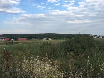 Scenic view of field against sky