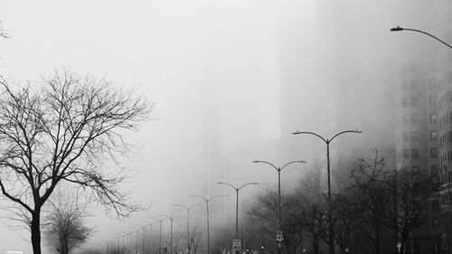 Bare trees by street against sky in city