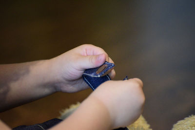 Close-up of hand holding snake