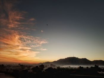 Silhouette birds flying over landscape against sky during sunset