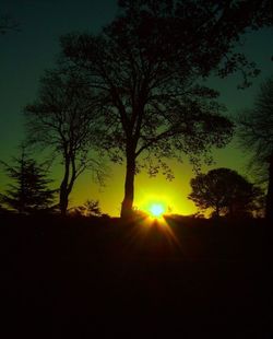 Silhouette of trees at sunset