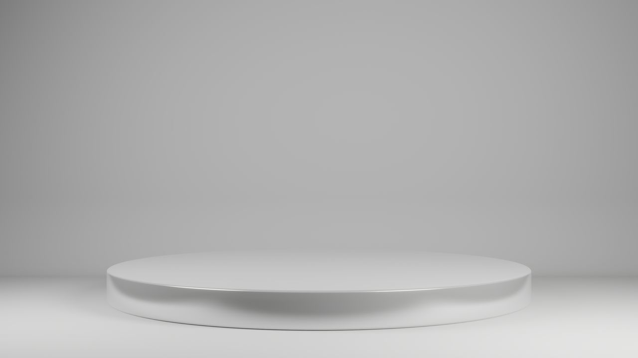 CLOSE-UP OF EMPTY PLATE AGAINST WHITE WALL