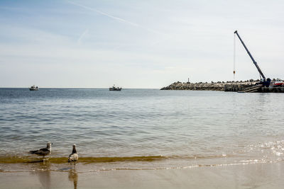 Birds perching on sea against sky