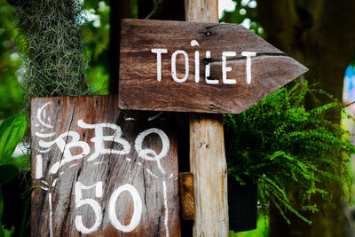 Close-up of text on wood against plants