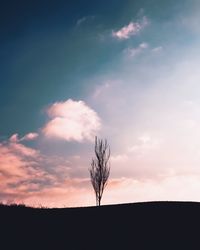 Silhouette bare tree against sky during sunset