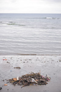 Scenic view of sea