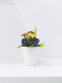 Potted flower plant on table against white background