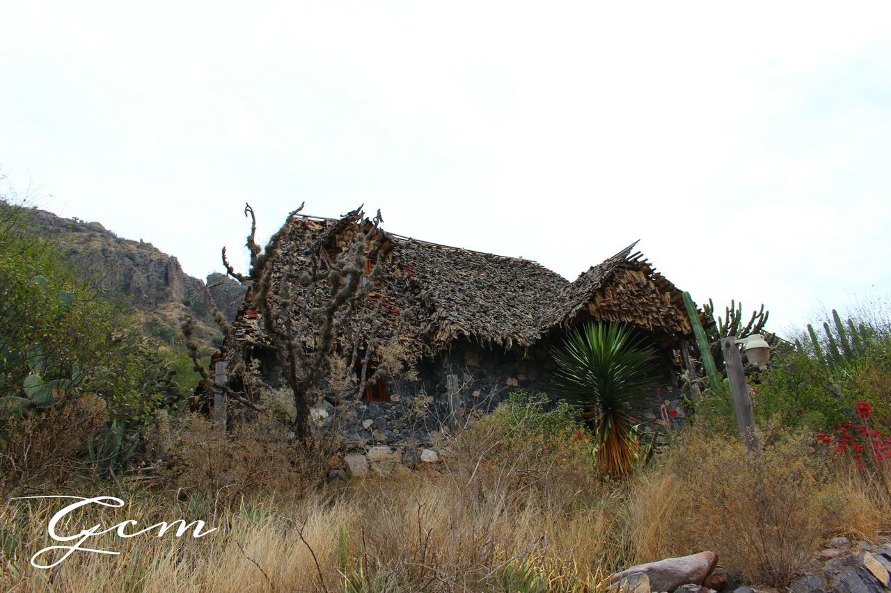 clear sky, built structure, architecture, tree, low angle view, damaged, sky, mountain, old, building exterior, old ruin, abandoned, history, deterioration, run-down, copy space, nature, rock formation, obsolete, tranquility